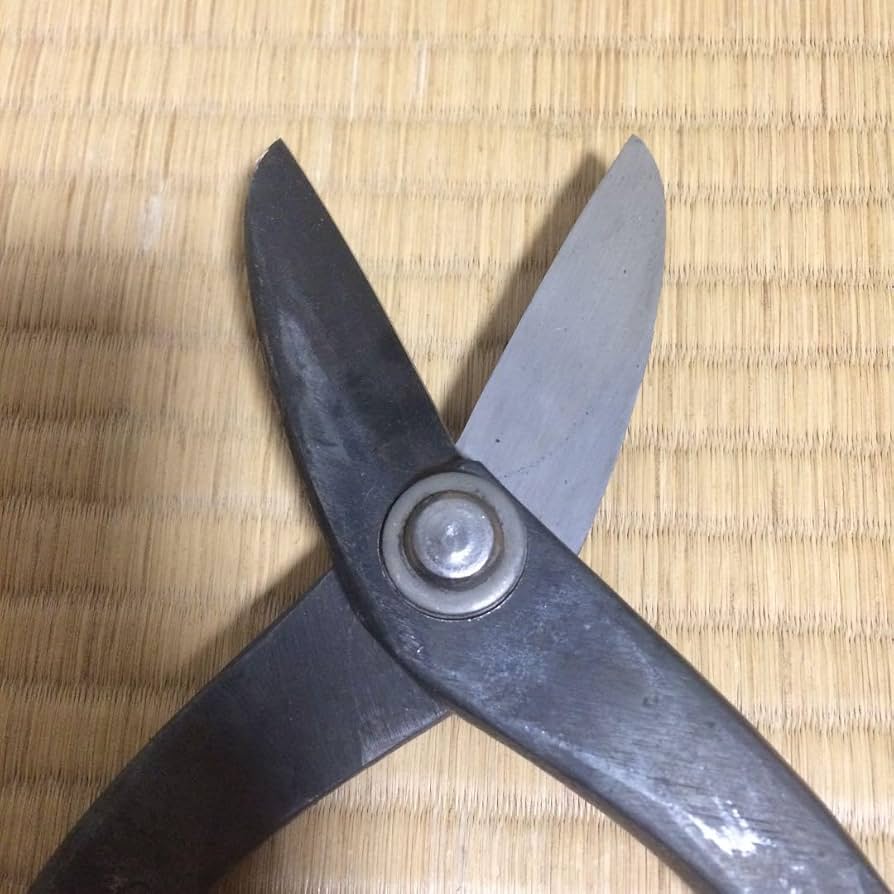 本職用帯鉄切り鋏 高光印 大型 本職用帯鉄切り鋏 高光印 大型